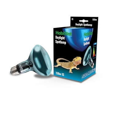 Screw Fitting Daylight Spotlight